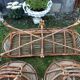 Set of 4 armchairs and 1 vintage rattan bench (5 pieces) inseparable.