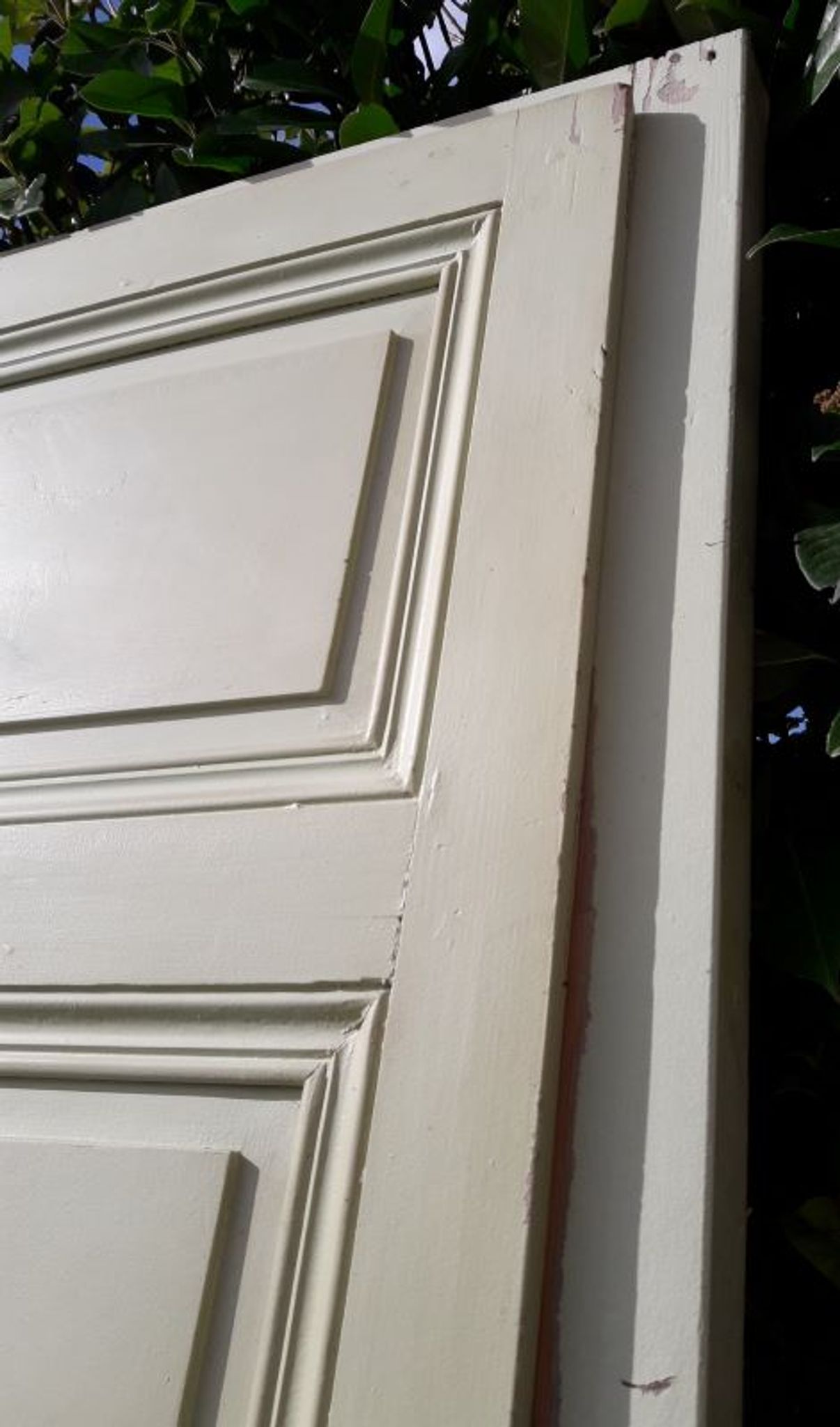 Porte 67.2x237.2cm de placard et son cadre