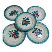 Set of 5 vintage dessert plates Faïencerie de Castres Model Fruits