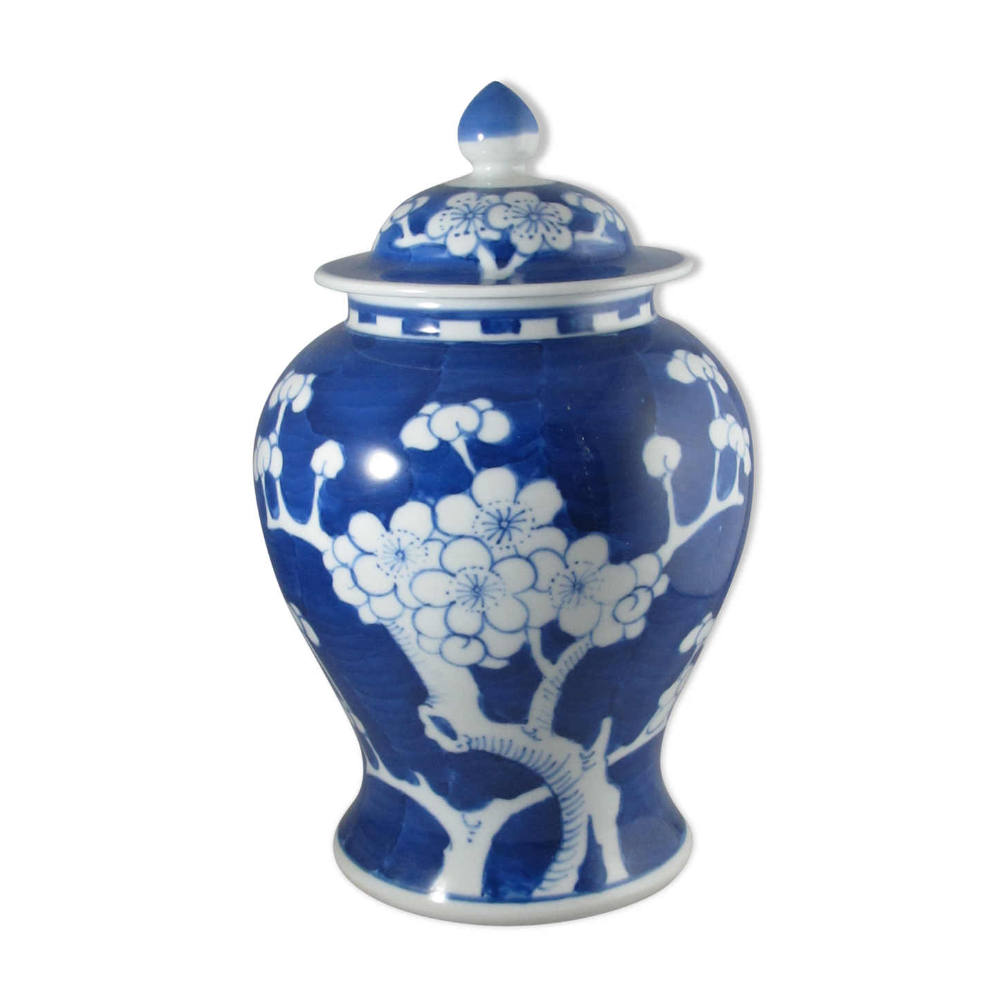 Chinese potiche blue white China
