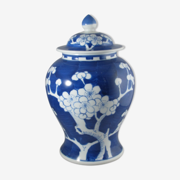 Chinese potiche blue white China