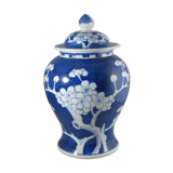 Chinese potiche blue white China