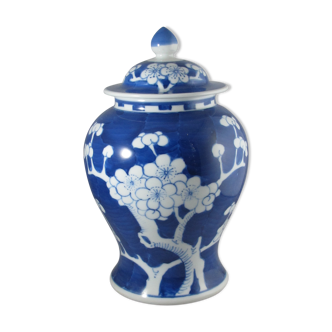 Chinese potiche blue white China