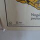 School poster on both sides anatomy fish and bee. Edition MDI.1964