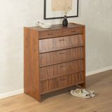 Classic shoe cabinet from the 1960s, walnut veneer, four drop-down doors, two drawers