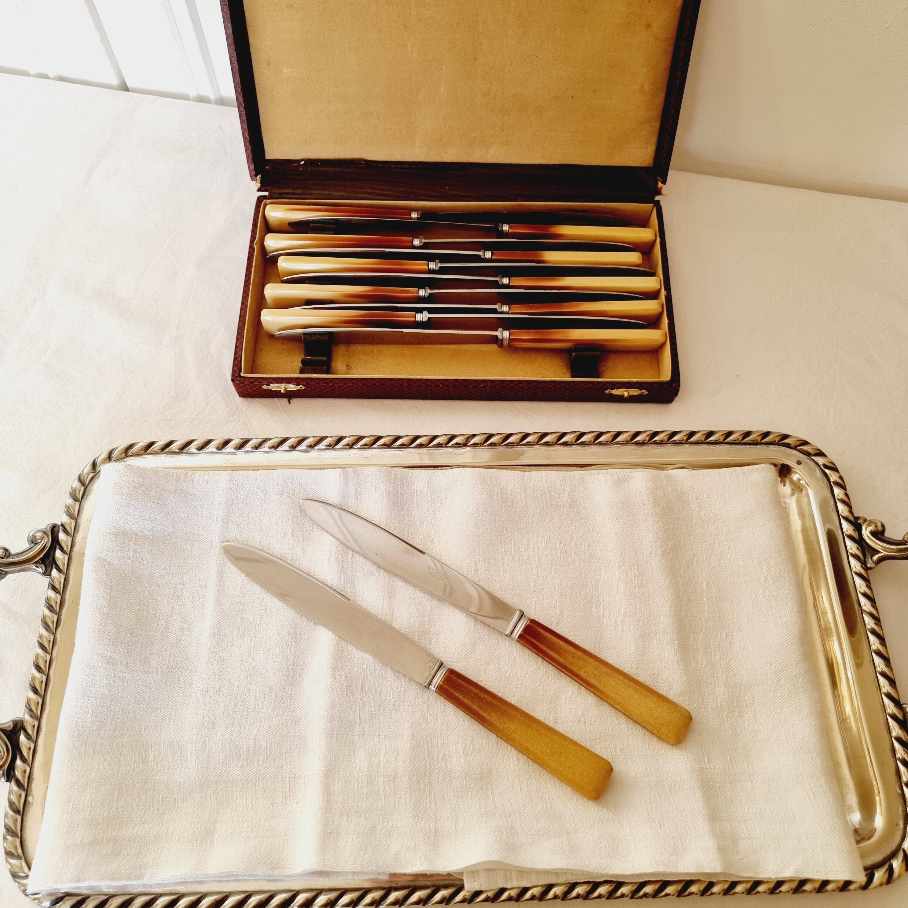 Box of 12 vintage knives in stainless steel and bakelite handle