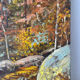 Fontainebleau Forest, signed R. Vacher