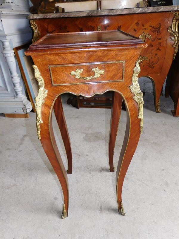 Harness in veneer and bronze