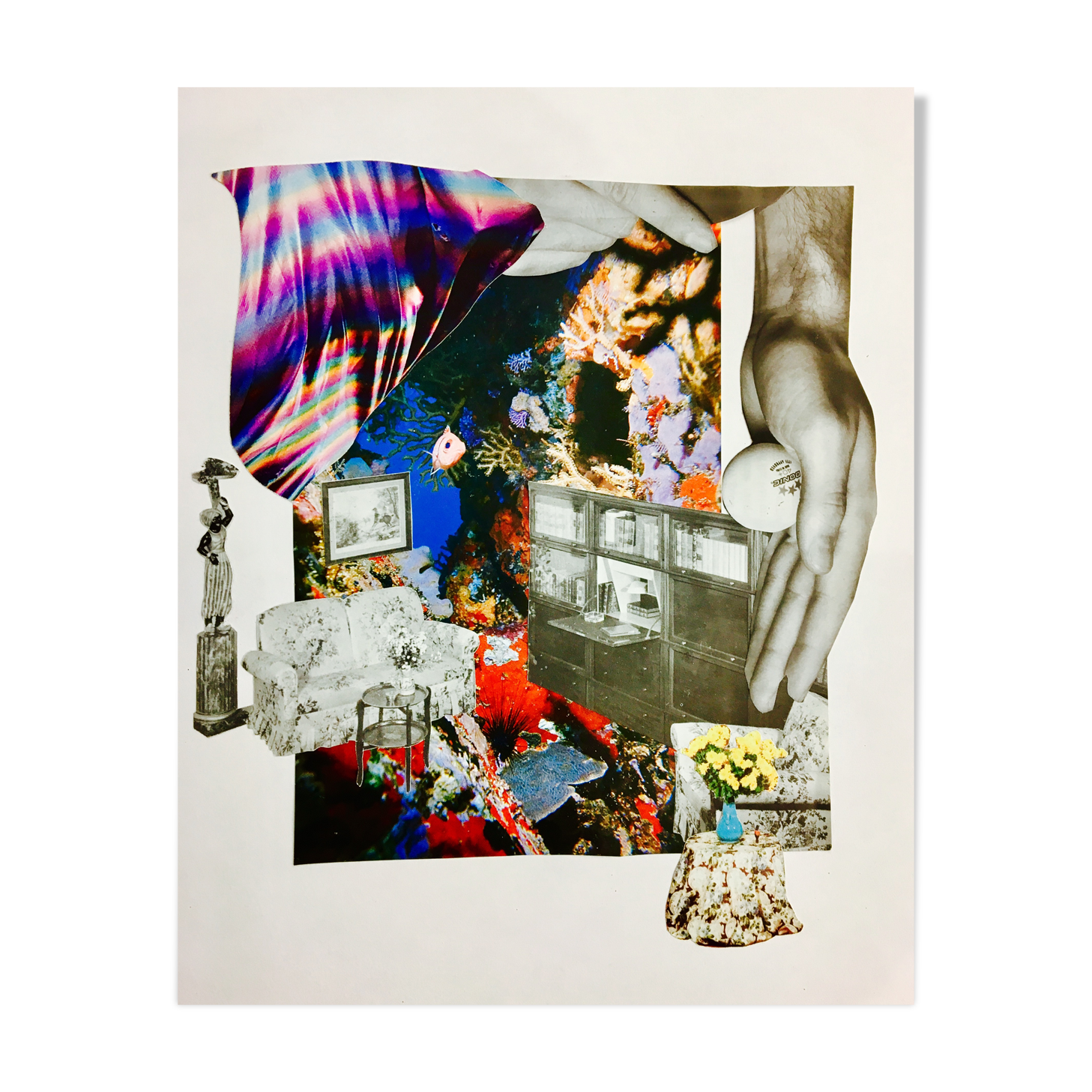 Salon aquatique, illustration