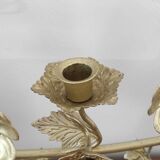 Chandelier Fleurs