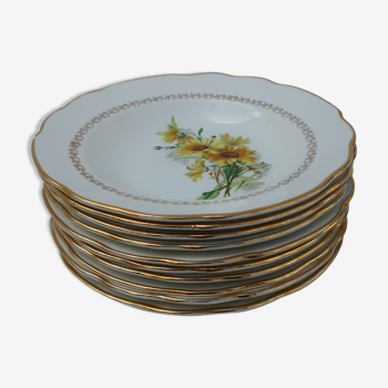 Set of 10 hollow plates in Gien earthenware