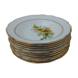 Set of 10 hollow plates in Gien earthenware