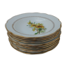 Set of 10 hollow plates in Gien earthenware