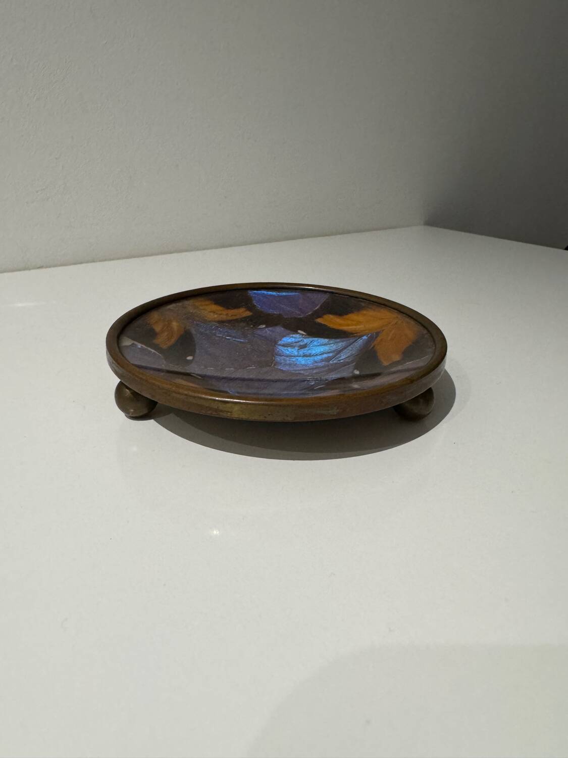 Art Deco butterfly wings catch-all Billère