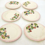 Set of 6 plates blackberries slurry