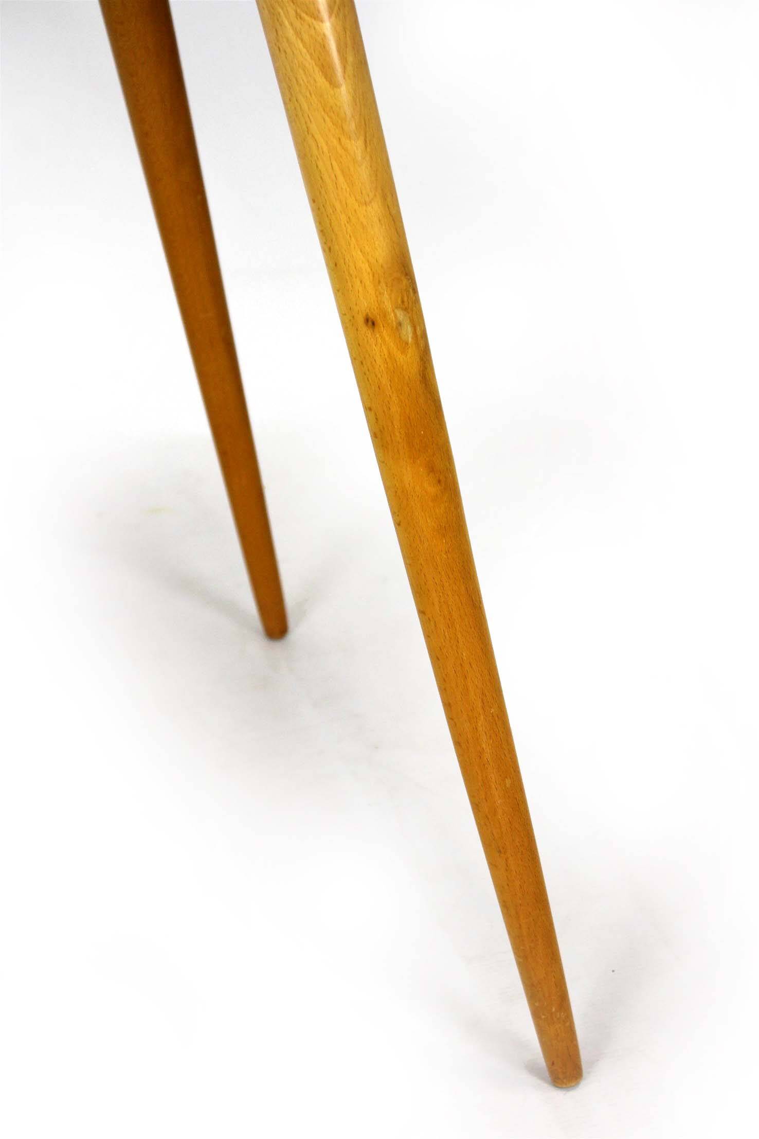 Mid-Century Modern Coffee Table with Glass Top from Cesky Nabytek, 1960s