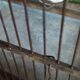 Cage ancienne