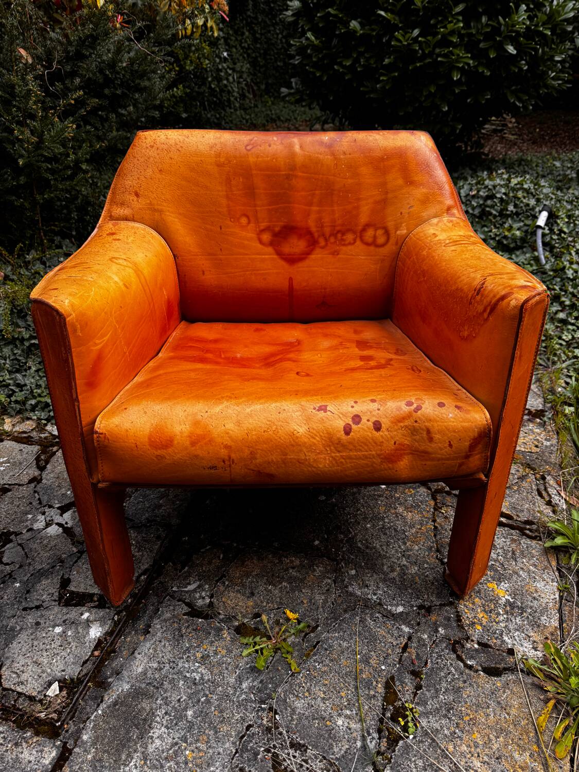 Canapé et fauteuil CAB415 de Mario Bellini pour Cassina