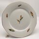 Set of 6 flat plates "Digoin Sarreguemines / Nemours model"