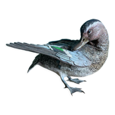 Canard en terre cuite polychrome