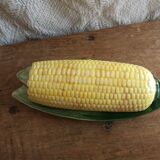 Box butter dish corn cob in slip