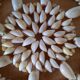 Shell trivet
