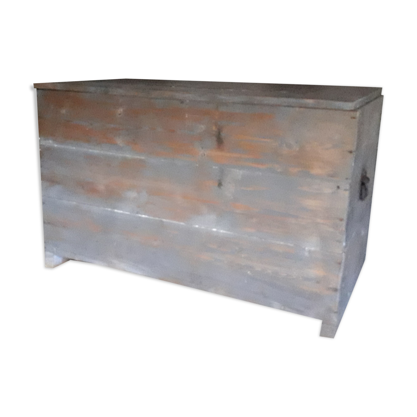 Blue trunk
