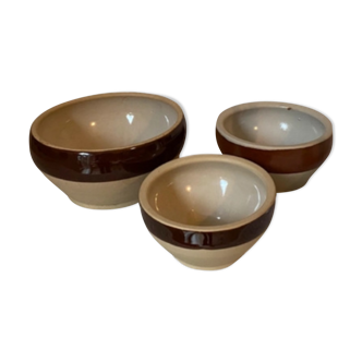 Set of 3 bowls including 2 digoin