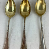 6 Teaspoons Silver makes Amshauser800