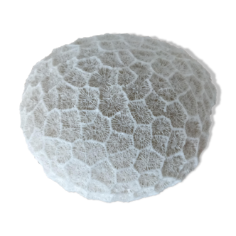 Boule de corail blanc