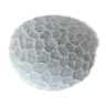 White coral ball
