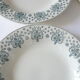 Lot of 4 plates Salins