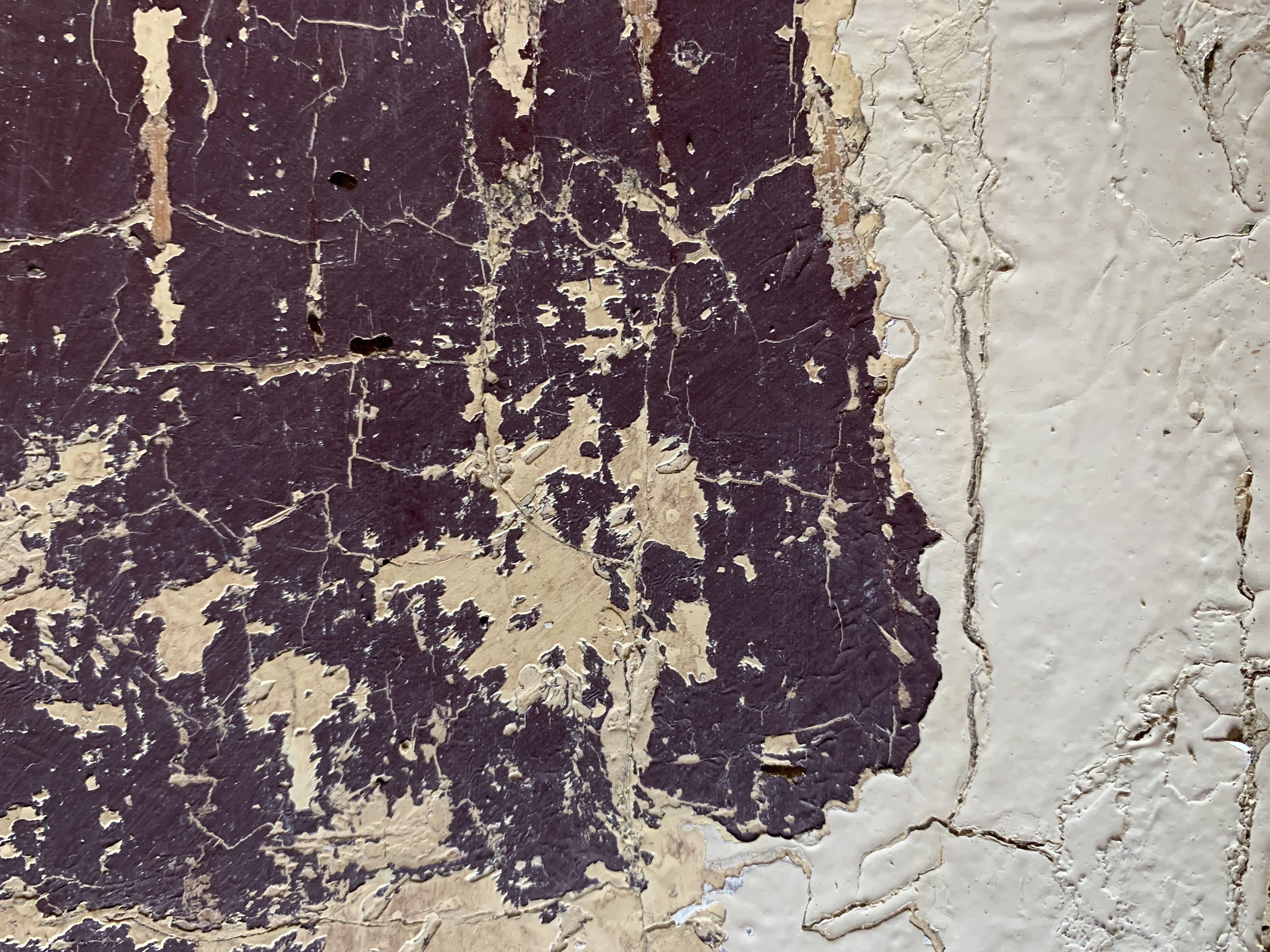 Buffet with elephant feet