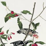 Poster about the Pic mineur, based on an old engraving from 1827.