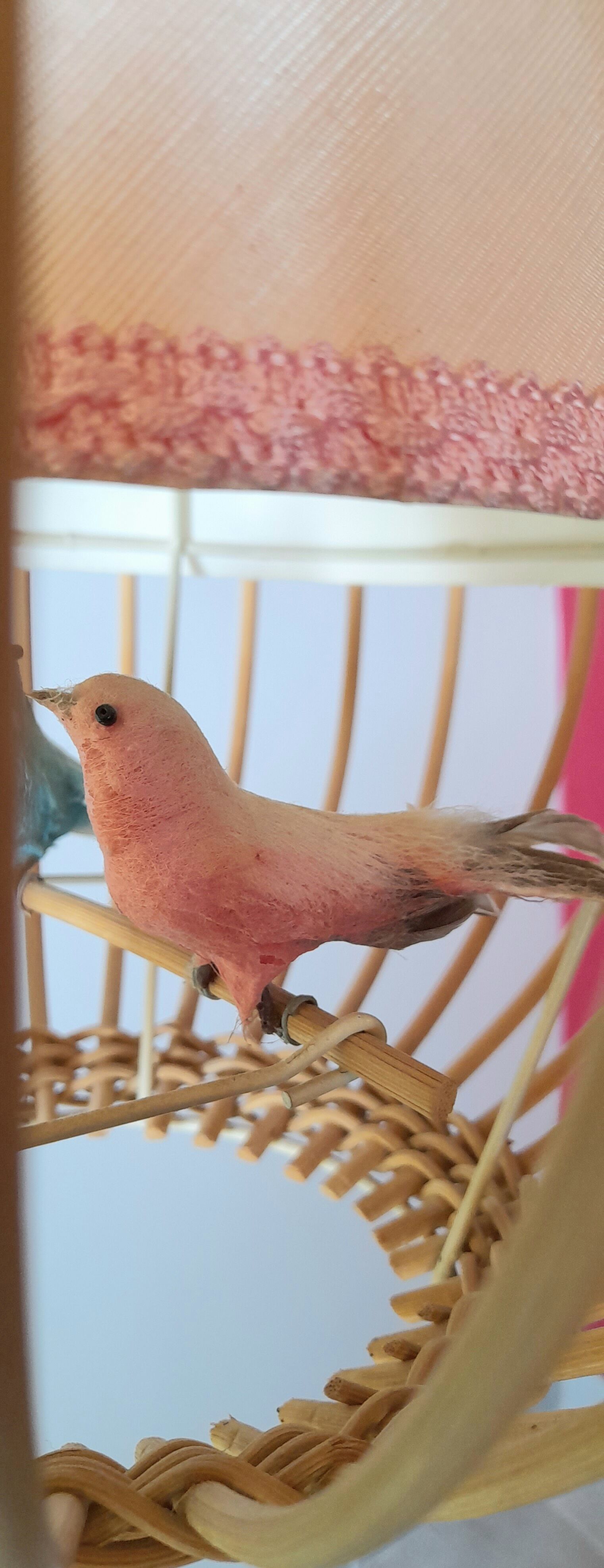 Suspension rattan bird cage 1960