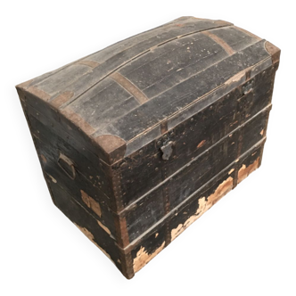 Transport trunk