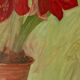 "Asiatic Lily" – Laws 1951