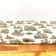 Set of 12 radium table knives in horn