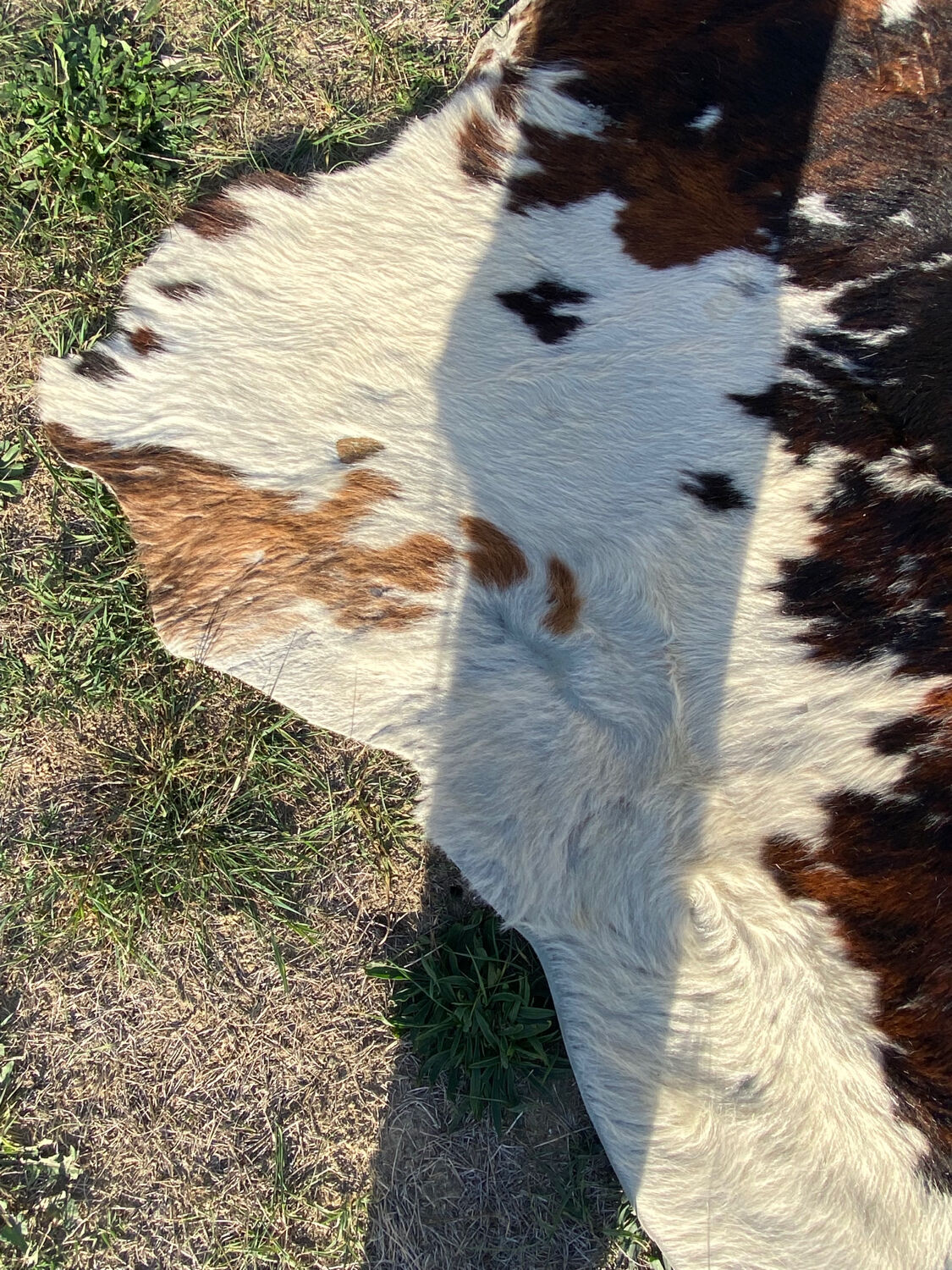 Vintage cowhide carpet
