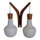 double teak wall lamp and Scandinavian suspended opalines