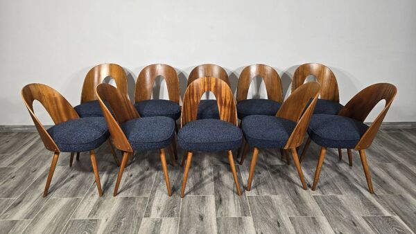 Chaises de salle à manger par Antonin Suman, années 1960, lot de 10