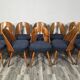 Dining Chairs by Antonin Suman, 1960s, Set of 10