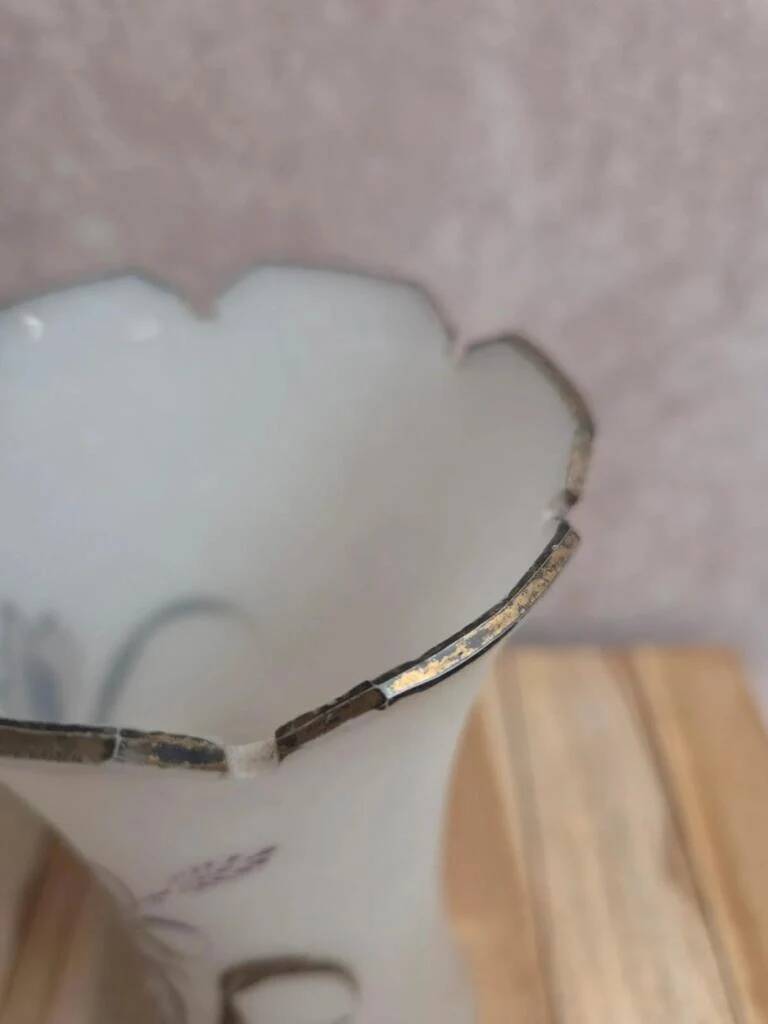 Antique Art Nouveau vase in frosted enamelled glass – iris decoration