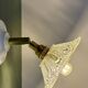 Vintage glass cut lampshade - tableware collection