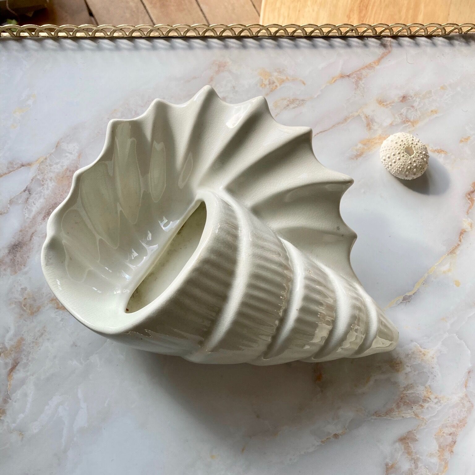 Empty cut English shell pocket