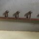 Old coat rack 20s