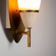 Pair of wall lamps with brass shields and glass shades