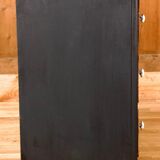 Restored chest of drawers with zebra tapestry 20th century