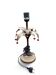 Pied de lampe de table Palmier hollywoodienne Années 60 en métal