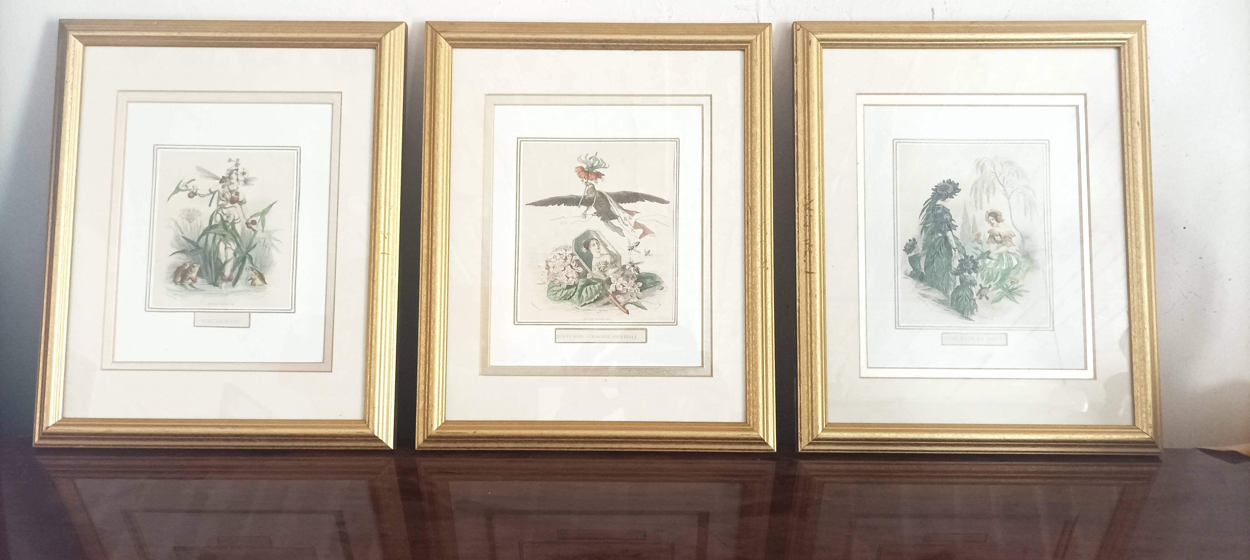 JJ Grandville Animated Flower Frame - Scabious and Marigold